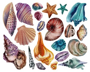 Set of seashells - conch, fan shell, and cockle-shell. Sea shells watercolor hand drawn illustration set isolated on white background for banner, poster, print, postcard