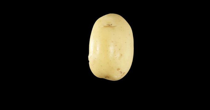 Young potatoes rotation alpha channel. Vegetables
