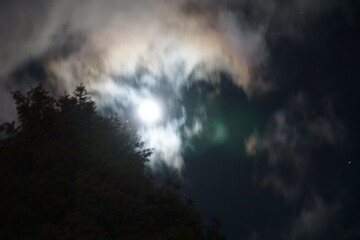 Darkness and Moonlight