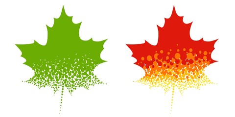 Image of maple leaves. The leaves are green and red-yellow with a texture in the form of spots. 