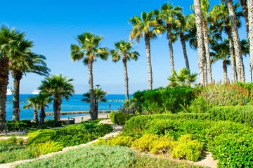 Gordijnen Het zomerlandschap van de kust van Limassol, Cyprus © Myroslava
