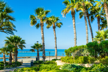 Fototapeta premium Sunrise beach landscape on the Mediterranean coast on Cyprus island