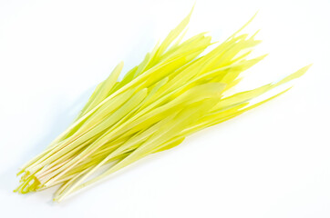 Yellow corn sprouts on a white background. Microgreens of corn in close-up. Yellow young sprouts.