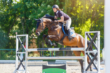 Young horse rider girl jumping over a barrier on show jumping course in equestrian sports competition