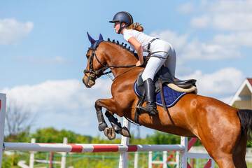 Young horse rider girl jumping over a barrier on show jumping course in equestrian sports...