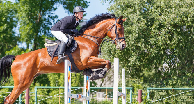 Young rider man jumping over the barrier