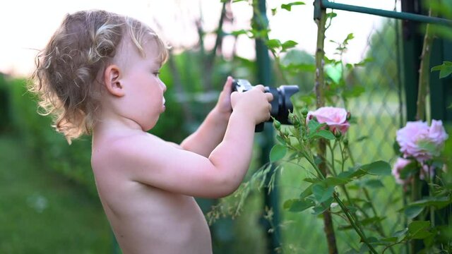 Curly blond kid takes pictures of flowers in the courtyard of a village house or cottage. Funny video, little photographer, family vacation concept