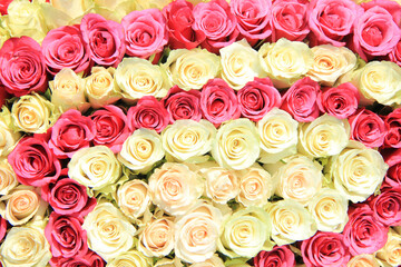 Roses in different shades of pink, bridal arrangement