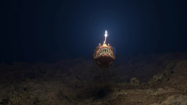 nether fish swimming deep in the ocean