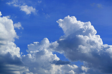 Naklejka na ściany i meble Floating fluffy cumulus clouds on vibrant blue sky