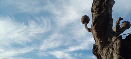 bird house on old wooden tree on cloudy blue sky