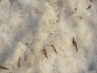 Background: muddy spring melting snow