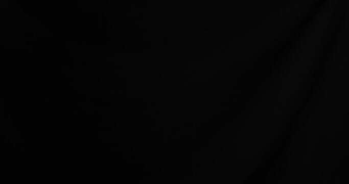 Green broccoli on a black background. It flies up and falls down