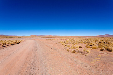 Bolivian dirt road view,Bolivia