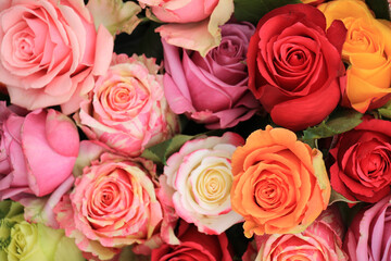 Naklejka premium Multicolored wedding roses