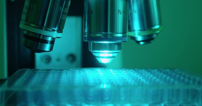 A plate with samples is placed under the objectives of the microscope, close-up. Video with a blue-green filter.