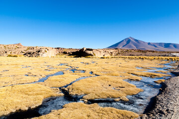 Beautiful bolivian landscape,Bolivia