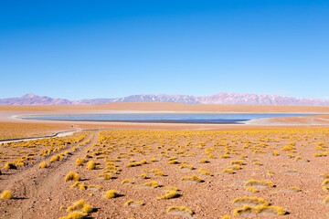 Bolivian lagoon view,Bolivia