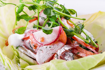 Vegetable salad with radish, tomato, cucumber and herbs