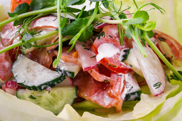 Vegetable salad with radish, tomato, cucumber and herbs