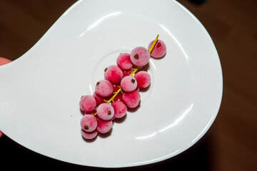  Johannisbeeren an der Rispe, gefrostet