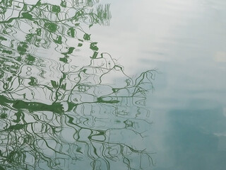The branches of the tree and the sky are reflected in the calm water of the pond. Full screen photo