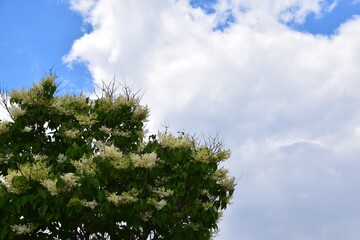 Clearwater lake in southern Quebec 