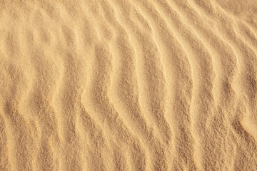 Surface of natural wavy beach sand