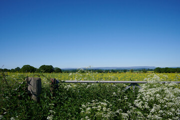 Agriculture farm field in english countryside over a metal gate with blue sky