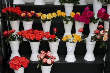 roses in every color on display in the flower shop