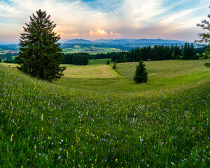 Alpenblick, Bergblick, Bayern, Oberbayern, Landschaft, Deutschland