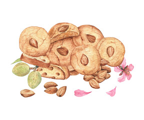 Sweet composition of almond round cookies and biscotti with almond nuts, flowers and petals. Watercolor illustration of white isolated background. For cards, goods' decor, stationery, cafe design. 