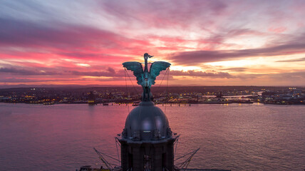 Liver Bird in the Sunset - Powered by Adobe