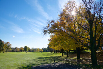 The golf course in autumn with lens flare