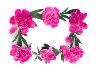 Garland of beautiful pink peonies on white isolated background with postcard for congratulations or invitations. Creative floral wreath.