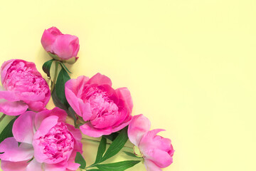 Bouquet of beautiful pink peonies on yellow paper background. Creative spring concept. Festive greeting card.