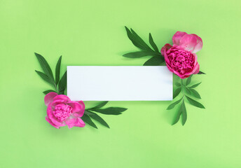 Bouquet of beautiful pink peonies on green paper background. Creative spring concept. Festive greeting card.