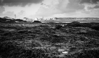 Saint Gilles Croix de Vie