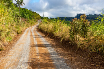 Dirty road with farms fields around