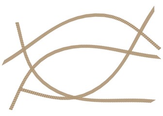 Isolated straight ropes. Vintage brown looped.  Twisted and straight rope set. Vector design elements
