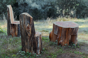 Rustic chairs and table made with tree trunk in the middle of nature.