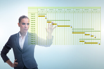 Businesswoman in project management concept