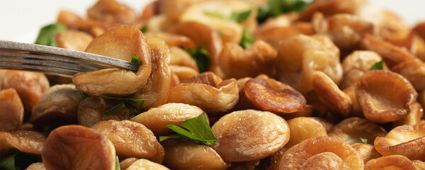 Fried puffball mushrooms on a white plate with a fork. Fried mushroom ready dish, hoizontal, banner