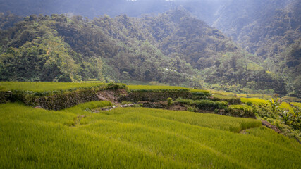 landscape with mountains