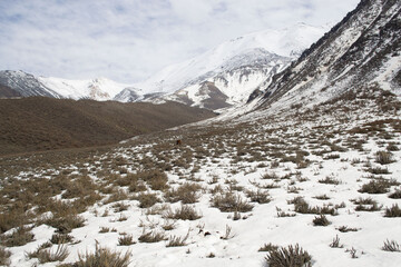 Paisaje de montaña nevada en Mendoza