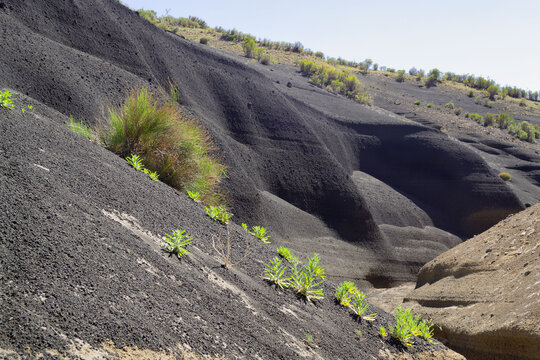 restos volcánicos en Malargue