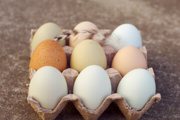Nine eggs with natural colored shell in carton box with feather. Fresh farm food close up. 
