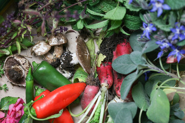 Collection of homegrown vegetables and flowers after harvest from home garden