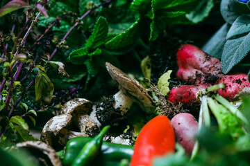 Collection of homegrown vegetables and flowers after harvest from home garden