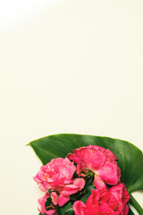 Vertical image featuring pink roses on white background with copy space